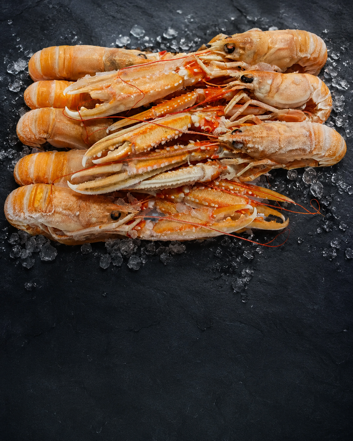 Замороженные морепродукты